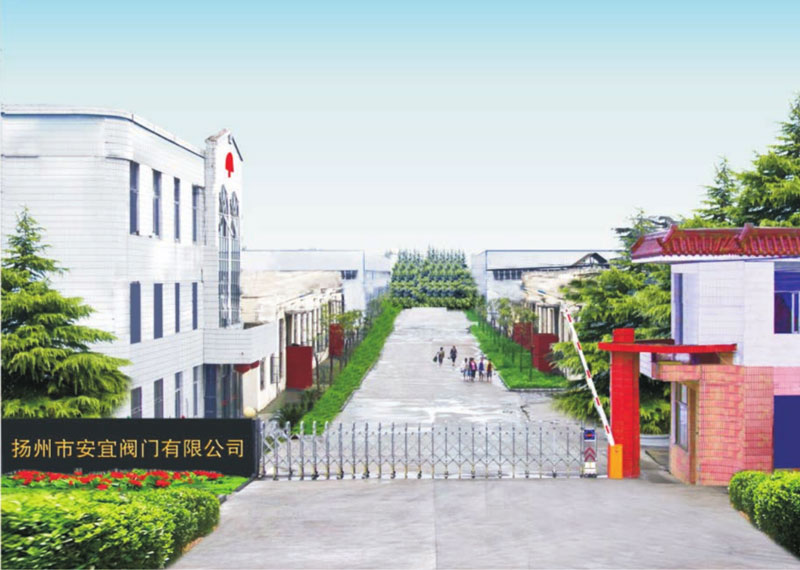 公司全貌